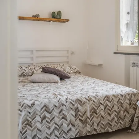 Fiore * ויקו אקוונסה