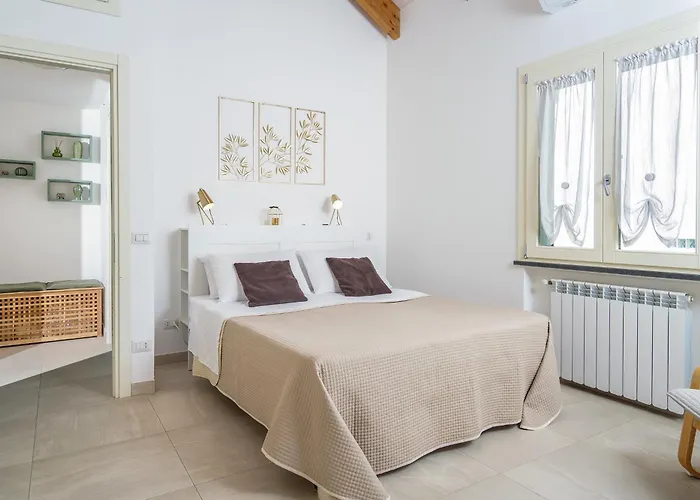 Fiore ויקו אקוונסה